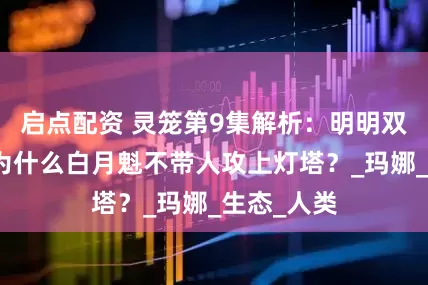 启点配资 灵笼第9集解析：明明双方有仇，为什么白月魁不带人攻上灯塔？_玛娜_生态_人类