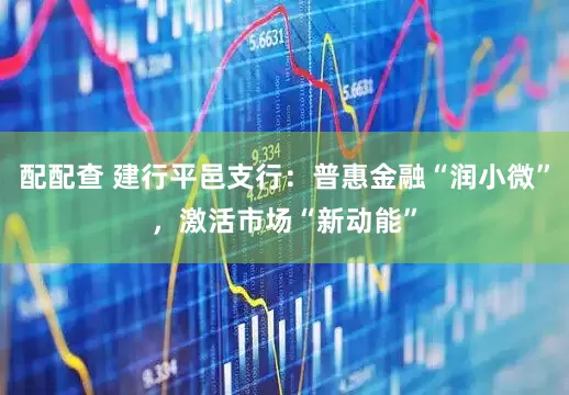 配配查 建行平邑支行：普惠金融“润小微”，激活市场“新动能”